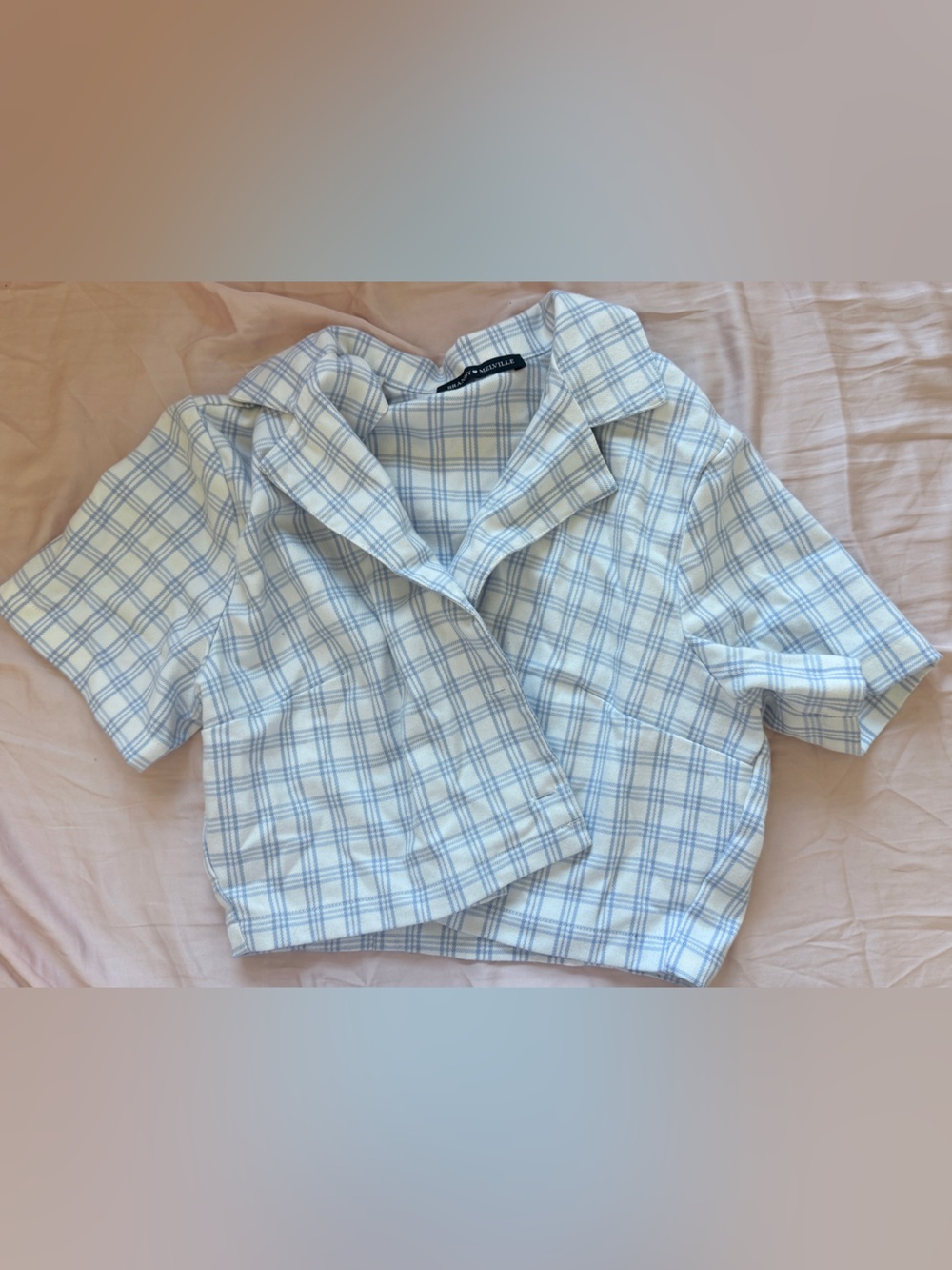 Brandy Melville Short-Sleeve Crop Light Blue Plaid Button-Down Shirt